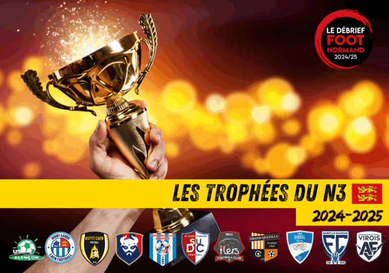 Pour la quatrième année de suite, la rédaction de Foot Normand vous invite à voter pour décerner des prix individuels à nos acteurs normands de National 3.
