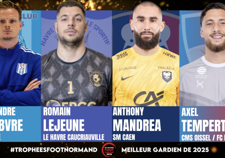Alexandre Lefebvre (FC Dieppe), Romain Lejeune (Le Havre Caucriauville), Anthony Mandrea (SM Caen) et Axel Temperton (FC Rouen) sont nommés dans la catégorie du meilleur gardien.