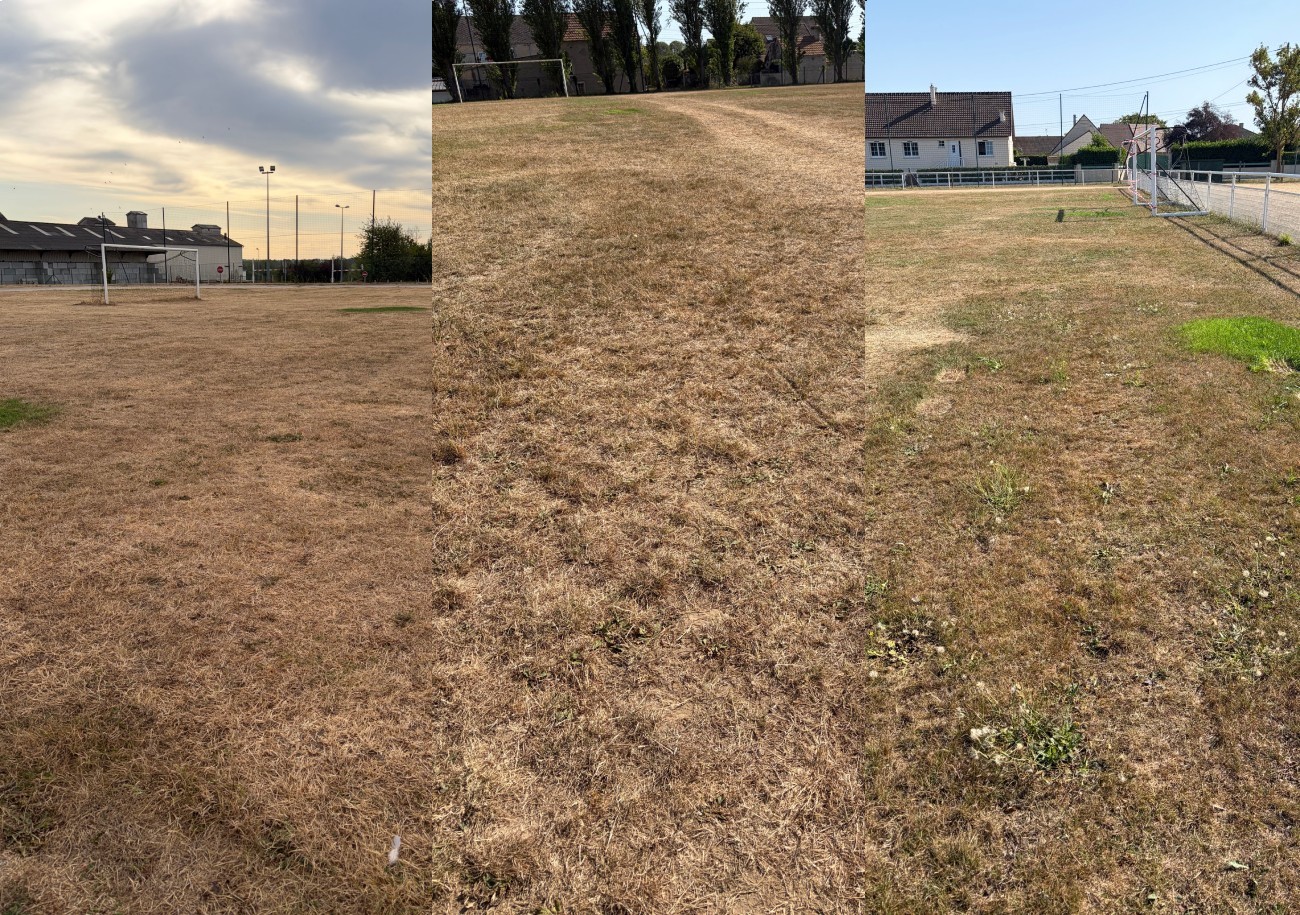 Les pelouses de Normandie ont souffert de la chaleur et de la sécheresse. Nombreux sont les terrains brulés qui mettront énormément de temps à retrouver une surface praticable comme ici à Creully et à Sommervieu. ©USI Bessin Nord sur Seulles